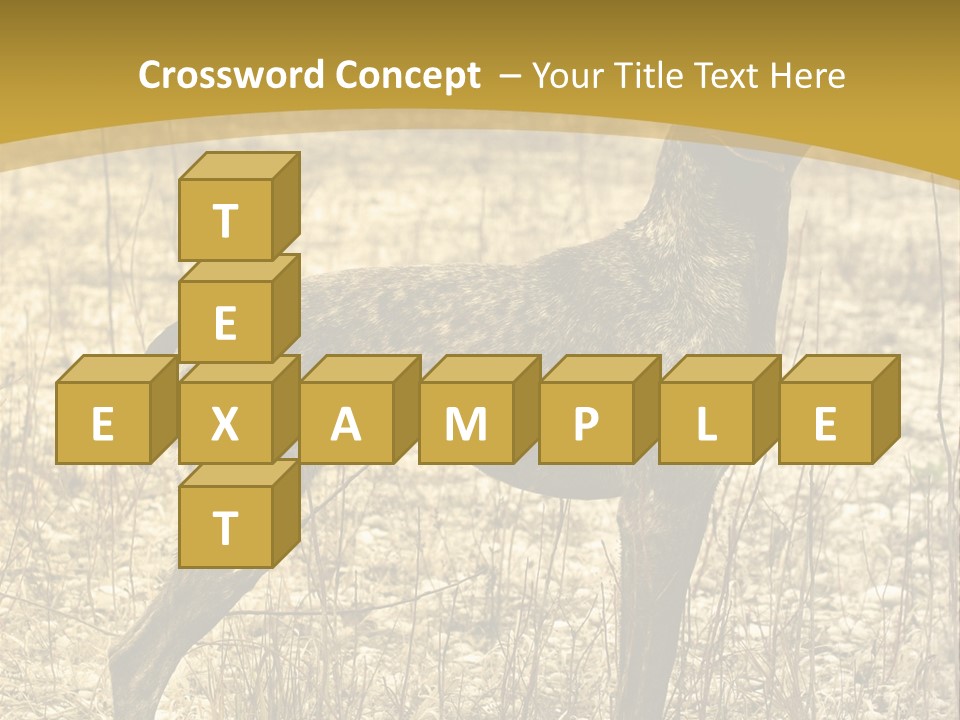 A Dog Standing In A Field With A Golden Background PowerPoint Template