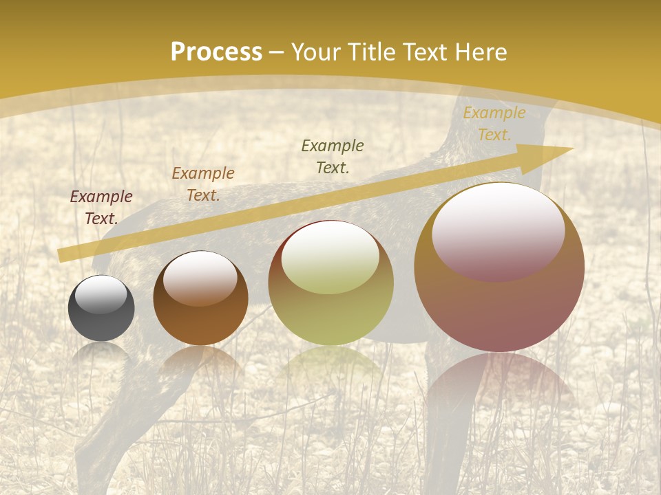 A Dog Standing In A Field With A Golden Background PowerPoint Template