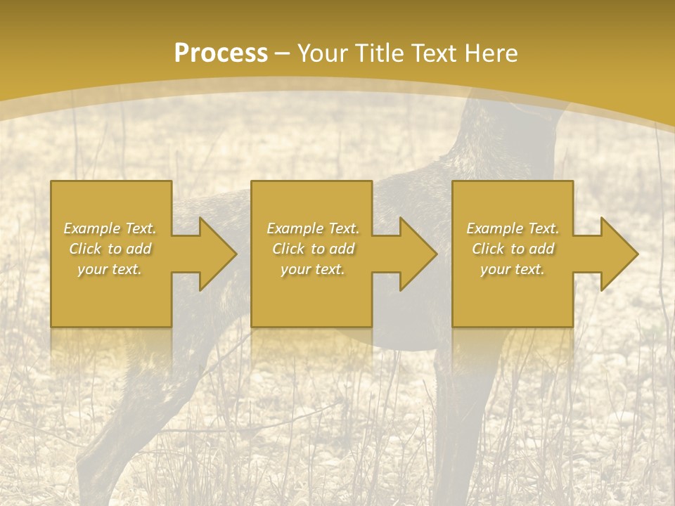 A Dog Standing In A Field With A Golden Background PowerPoint Template