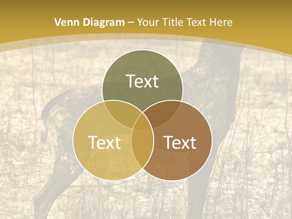 A Dog Standing In A Field With A Golden Background PowerPoint Template