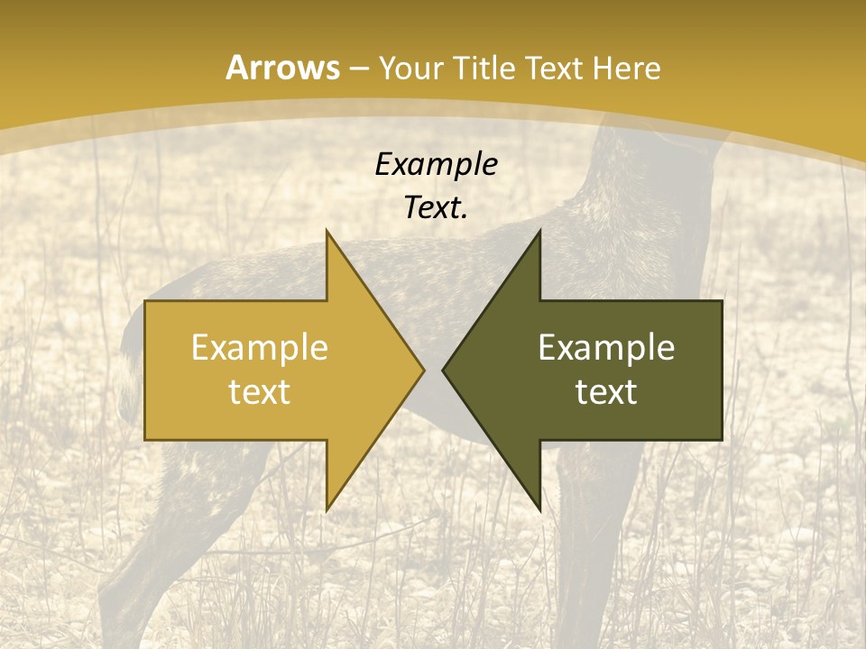 A Dog Standing In A Field With A Golden Background PowerPoint Template