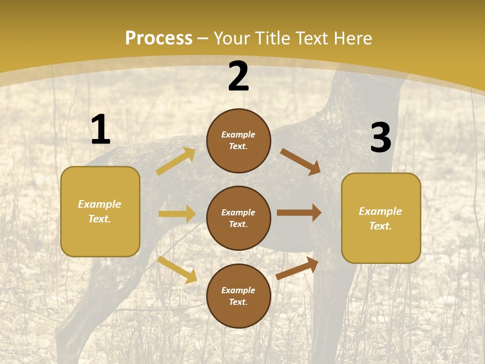 A Dog Standing In A Field With A Golden Background PowerPoint Template