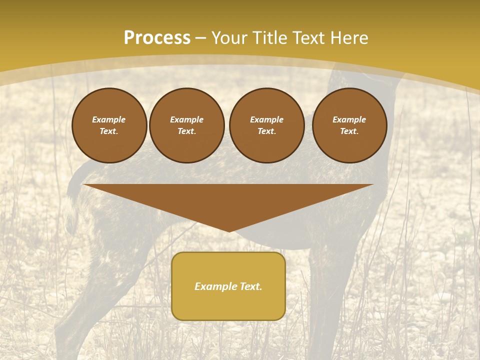 A Dog Standing In A Field With A Golden Background PowerPoint Template