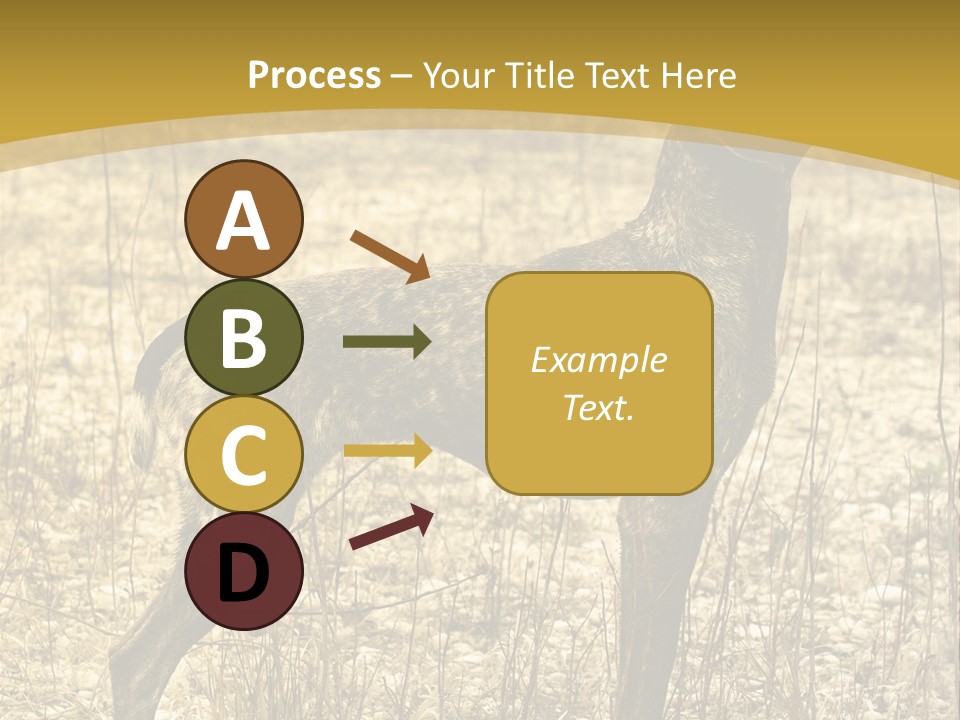 A Dog Standing In A Field With A Golden Background PowerPoint Template