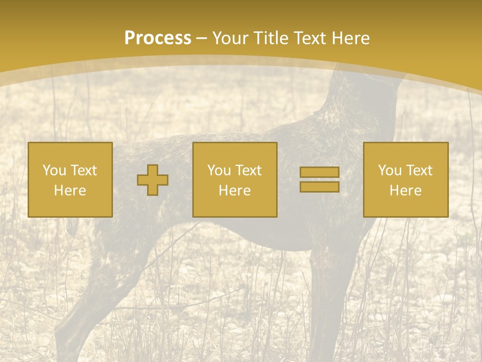 A Dog Standing In A Field With A Golden Background PowerPoint Template