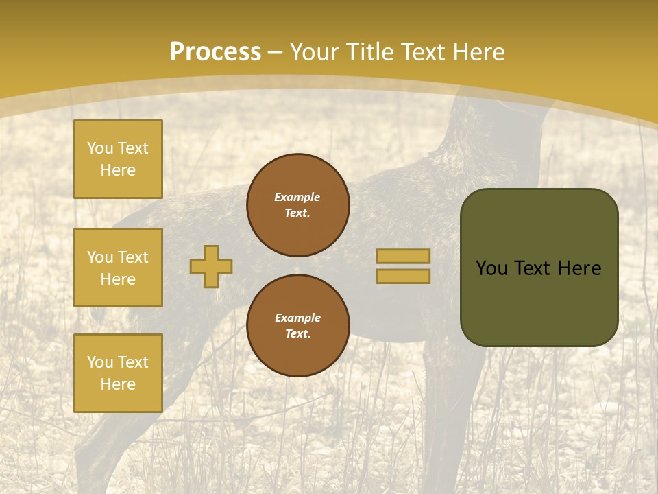 A Dog Standing In A Field With A Golden Background PowerPoint Template
