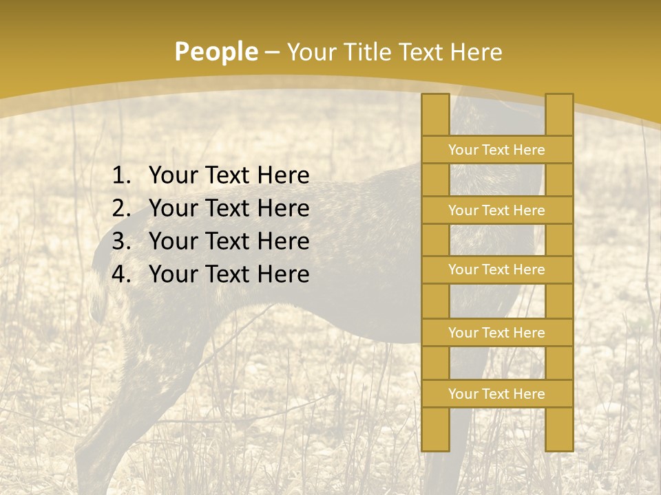 A Dog Standing In A Field With A Golden Background PowerPoint Template