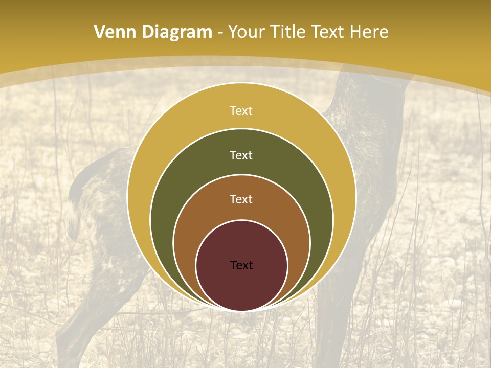 A Dog Standing In A Field With A Golden Background PowerPoint Template
