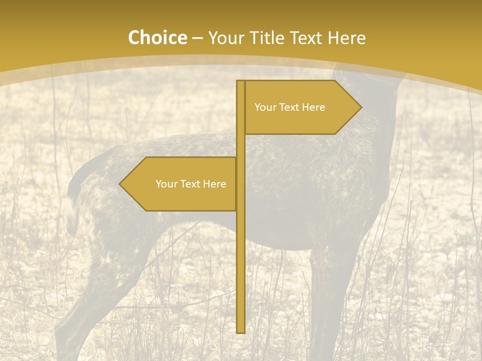 A Dog Standing In A Field With A Golden Background PowerPoint Template