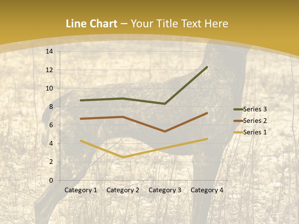 A Dog Standing In A Field With A Golden Background PowerPoint Template