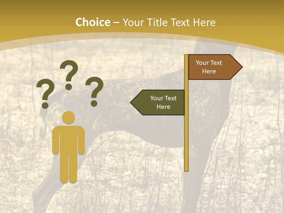 A Dog Standing In A Field With A Golden Background PowerPoint Template