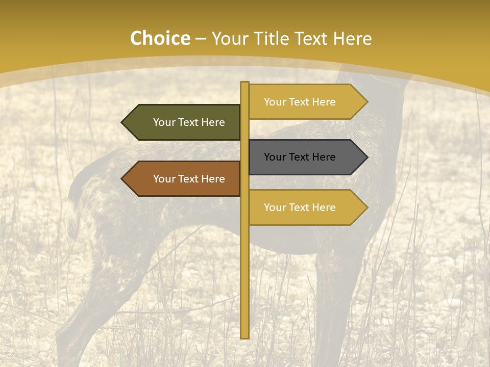 A Dog Standing In A Field With A Golden Background PowerPoint Template