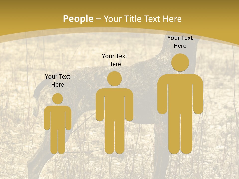 A Dog Standing In A Field With A Golden Background PowerPoint Template