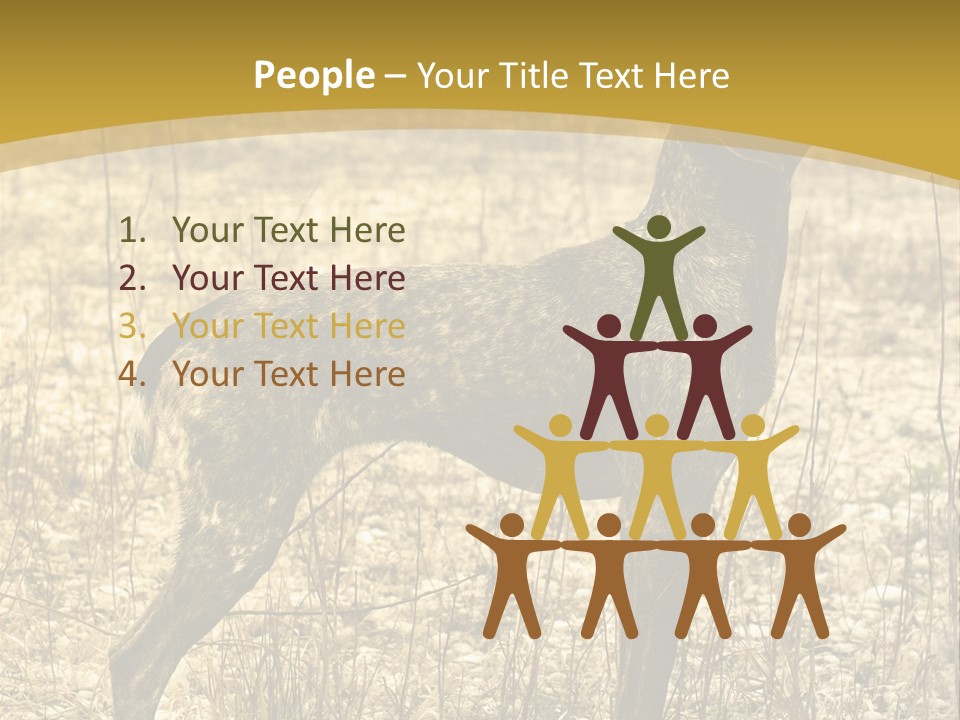 A Dog Standing In A Field With A Golden Background PowerPoint Template