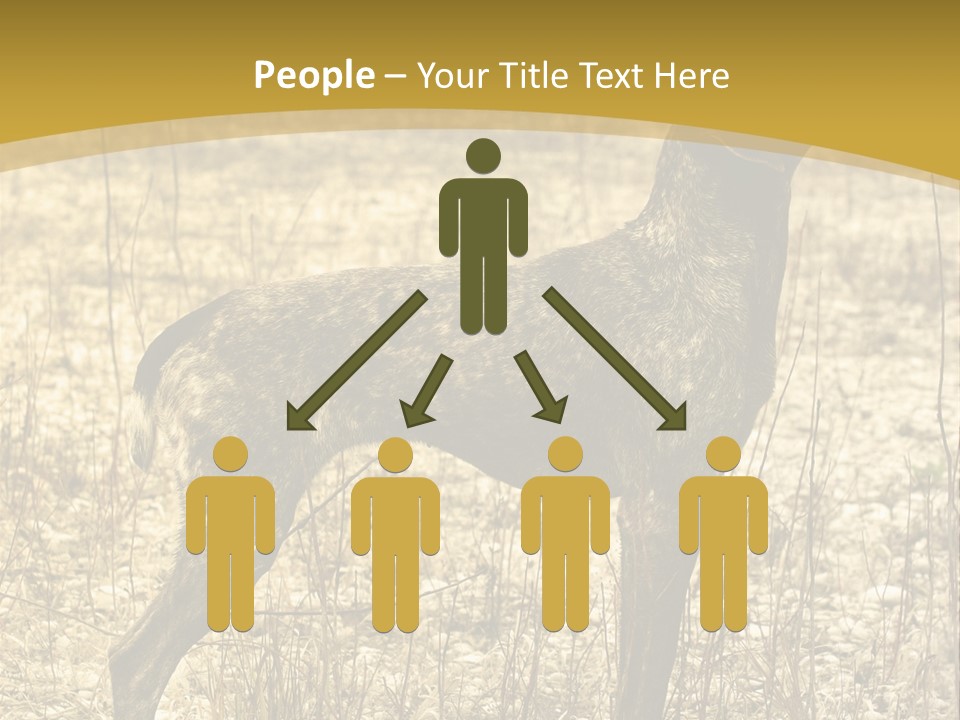 A Dog Standing In A Field With A Golden Background PowerPoint Template