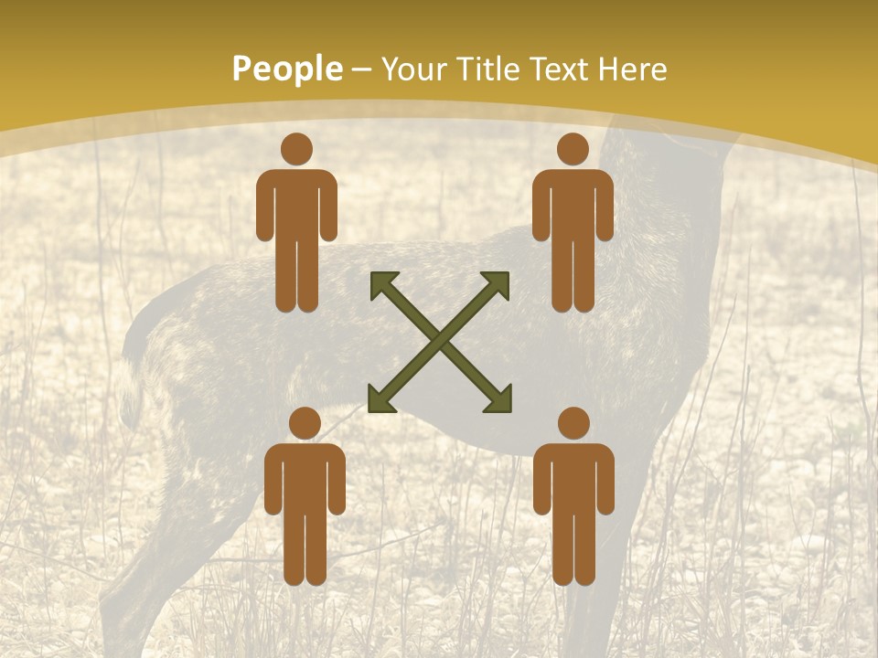 A Dog Standing In A Field With A Golden Background PowerPoint Template