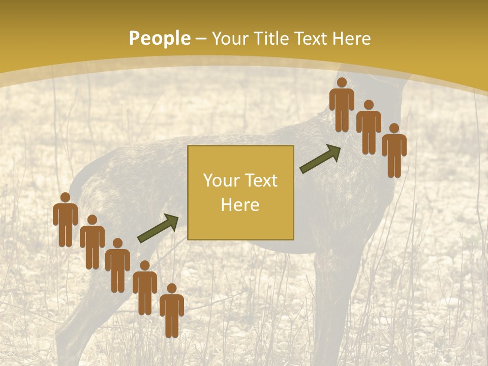 A Dog Standing In A Field With A Golden Background PowerPoint Template