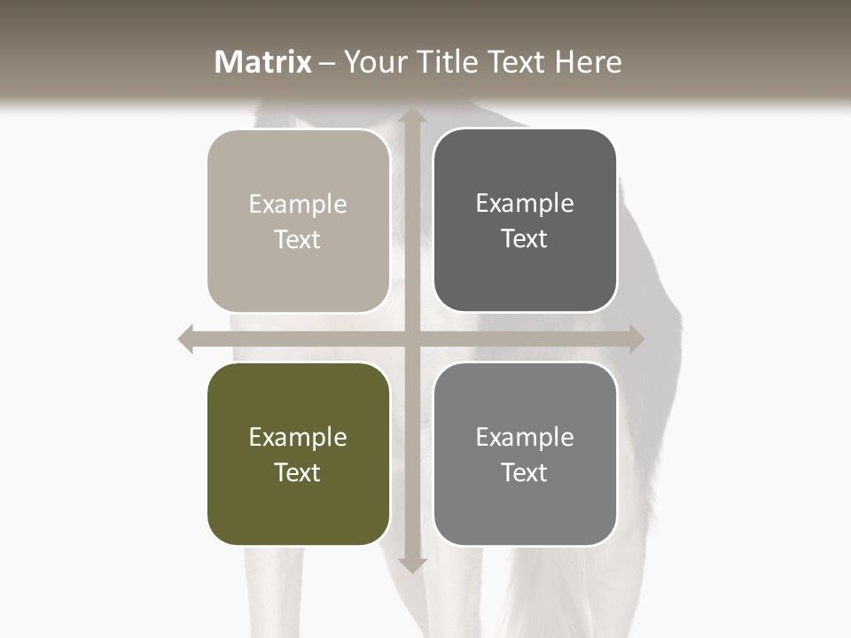 A Black And White Dog Standing In Front Of A White Background PowerPoint Template