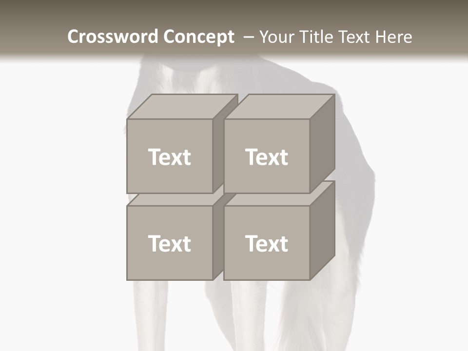 A Black And White Dog Standing In Front Of A White Background PowerPoint Template