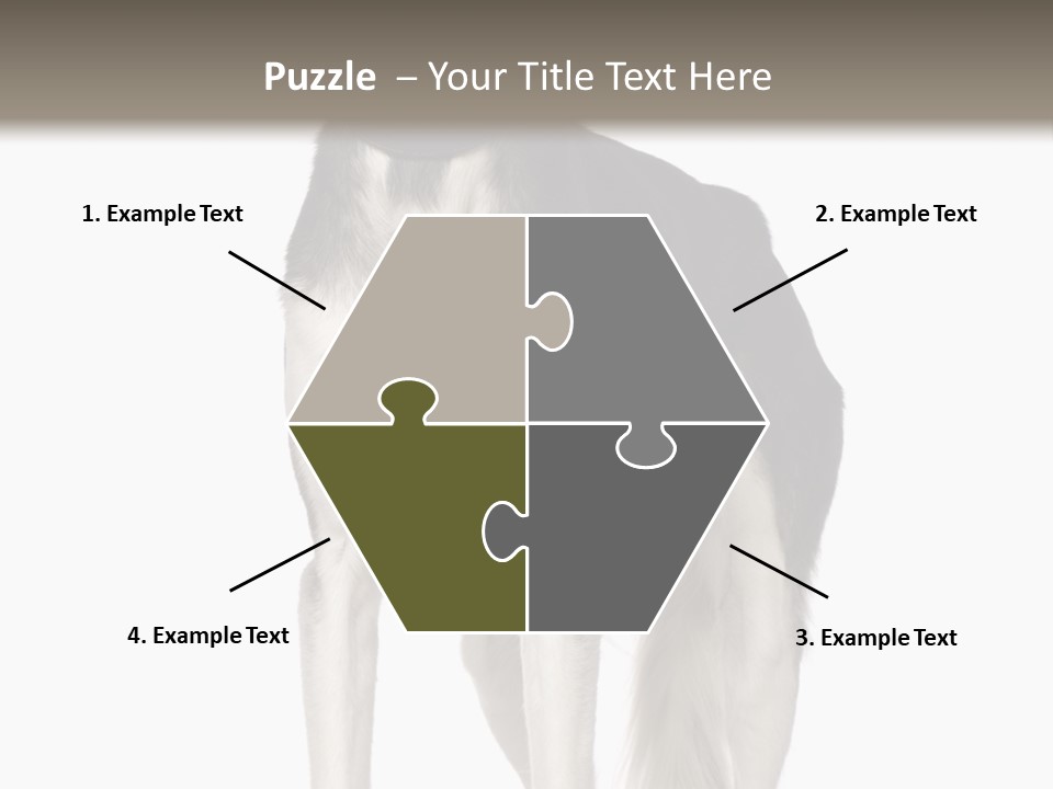 A Black And White Dog Standing In Front Of A White Background PowerPoint Template