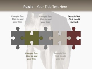 A Black And White Dog Standing In Front Of A White Background PowerPoint Template