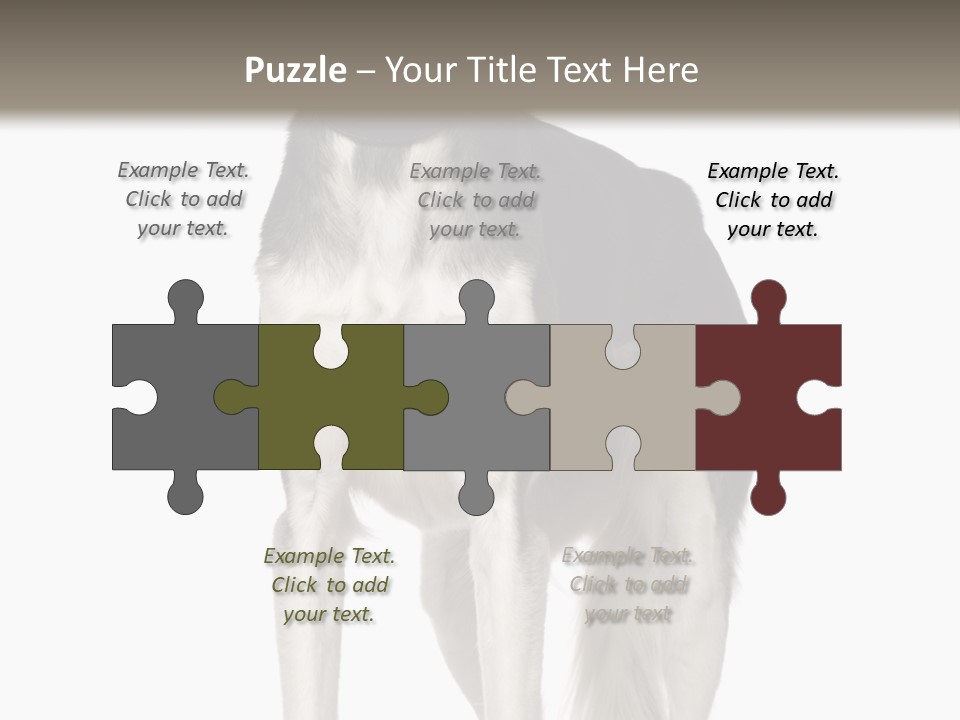 A Black And White Dog Standing In Front Of A White Background PowerPoint Template