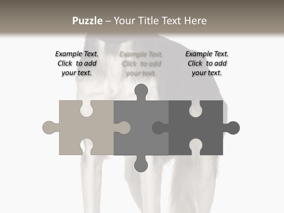 A Black And White Dog Standing In Front Of A White Background PowerPoint Template