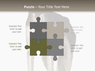 A Black And White Dog Standing In Front Of A White Background PowerPoint Template