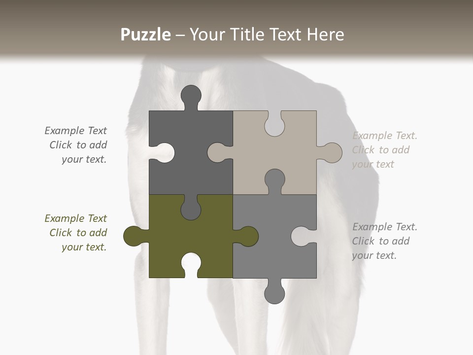 A Black And White Dog Standing In Front Of A White Background PowerPoint Template