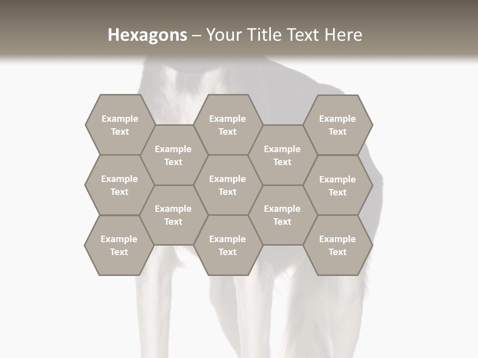 A Black And White Dog Standing In Front Of A White Background PowerPoint Template