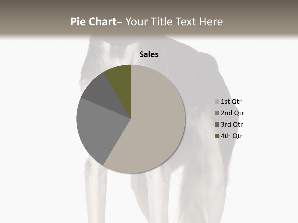 A Black And White Dog Standing In Front Of A White Background PowerPoint Template
