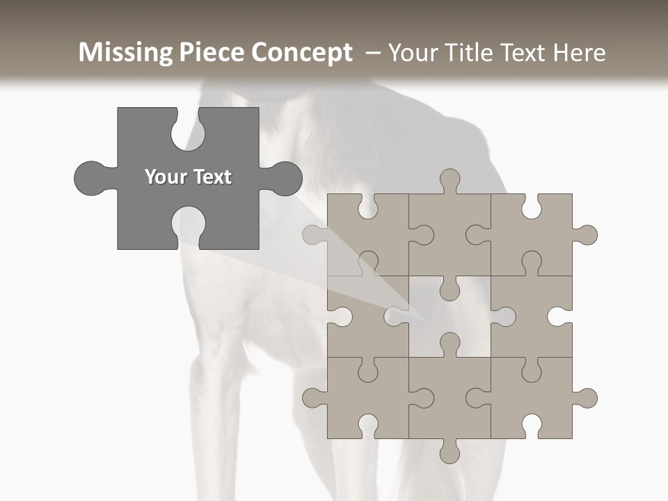 A Black And White Dog Standing In Front Of A White Background PowerPoint Template