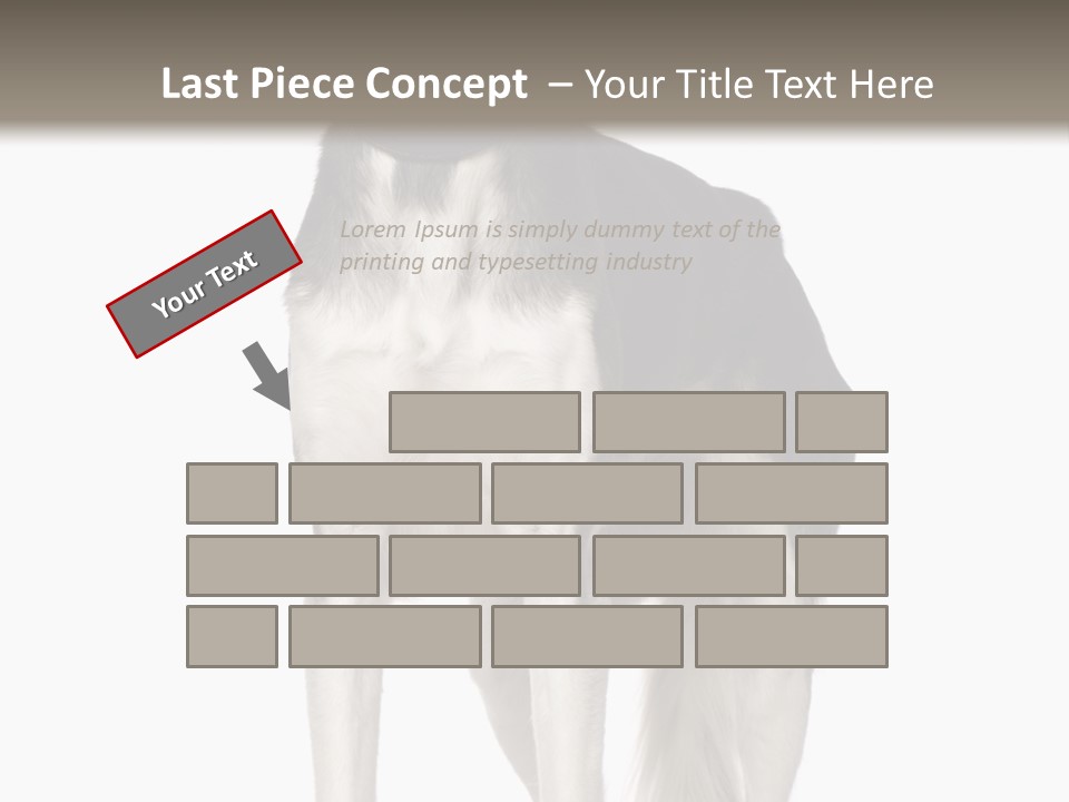 A Black And White Dog Standing In Front Of A White Background PowerPoint Template