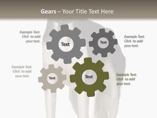 A Black And White Dog Standing In Front Of A White Background PowerPoint Template