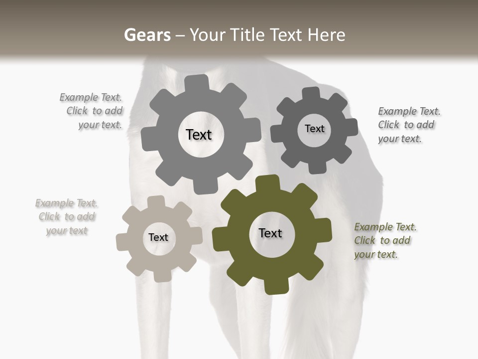 A Black And White Dog Standing In Front Of A White Background PowerPoint Template