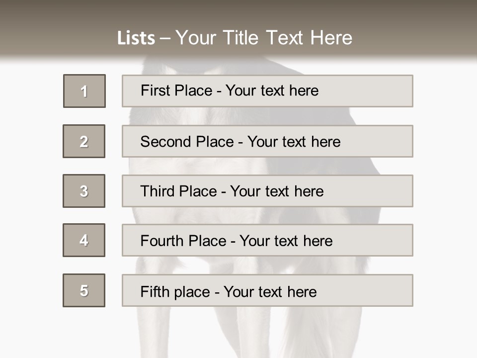 A Black And White Dog Standing In Front Of A White Background PowerPoint Template