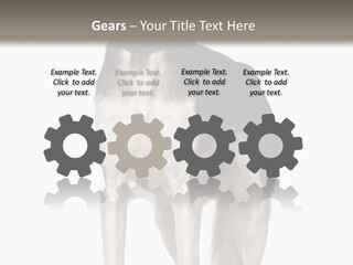 A Black And White Dog Standing In Front Of A White Background PowerPoint Template