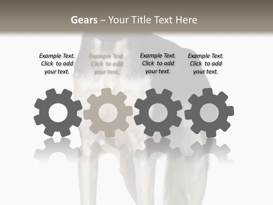 A Black And White Dog Standing In Front Of A White Background PowerPoint Template