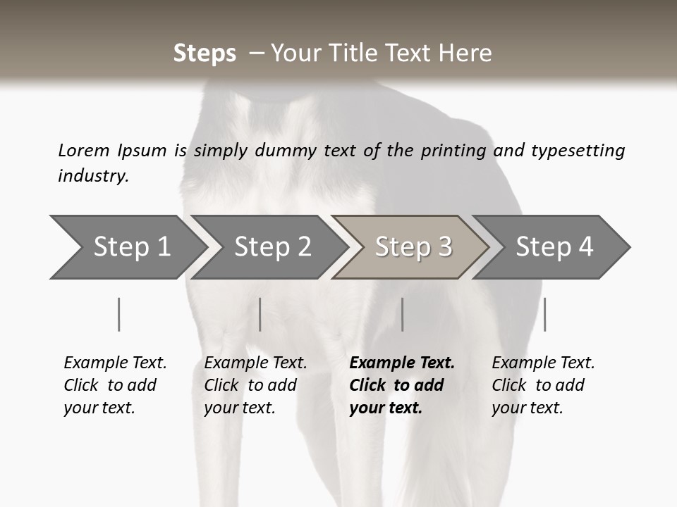 A Black And White Dog Standing In Front Of A White Background PowerPoint Template