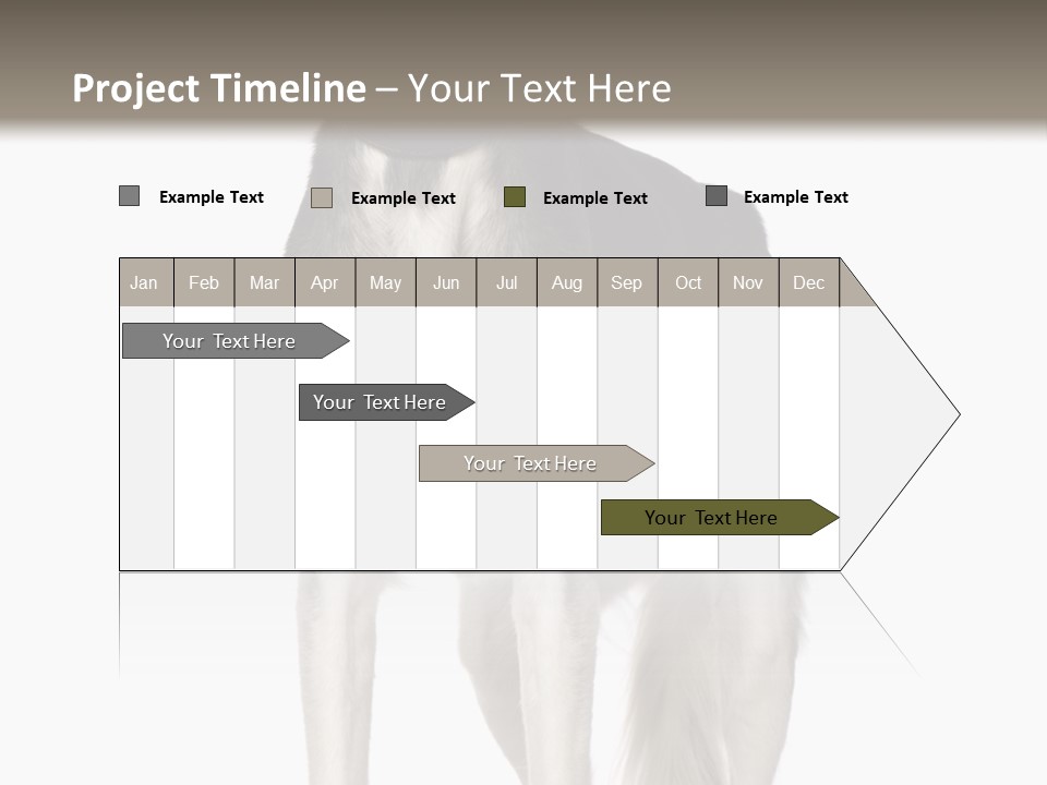 A Black And White Dog Standing In Front Of A White Background PowerPoint Template