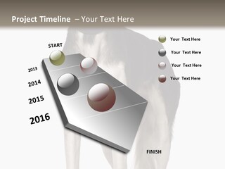 A Black And White Dog Standing In Front Of A White Background PowerPoint Template