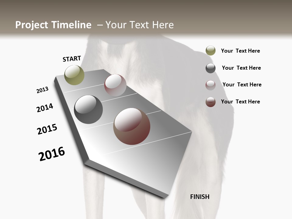 A Black And White Dog Standing In Front Of A White Background PowerPoint Template