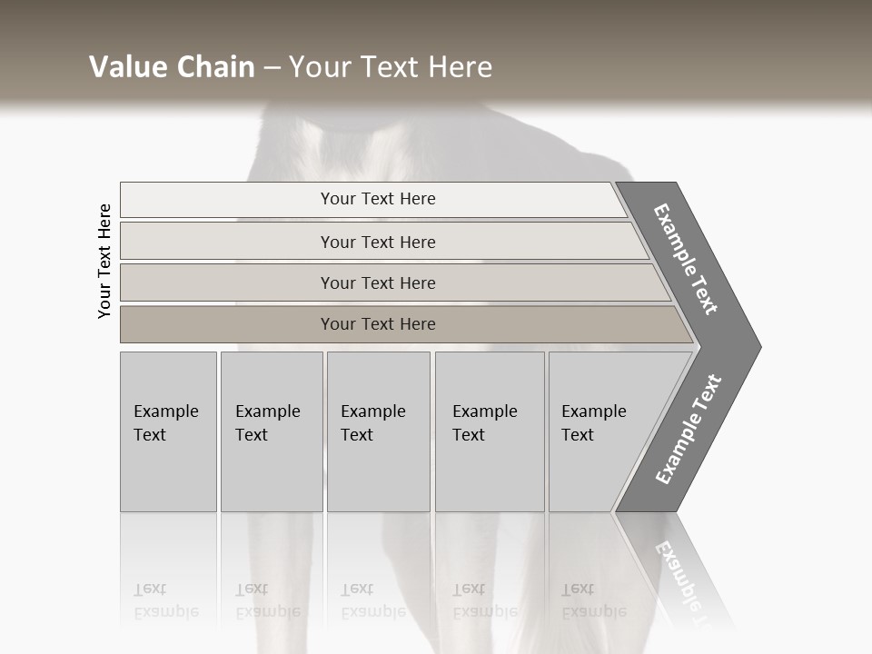 A Black And White Dog Standing In Front Of A White Background PowerPoint Template