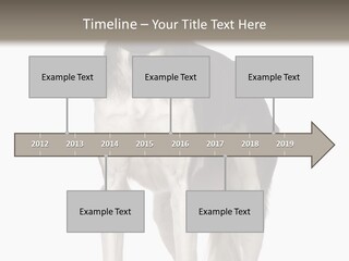 A Black And White Dog Standing In Front Of A White Background PowerPoint Template