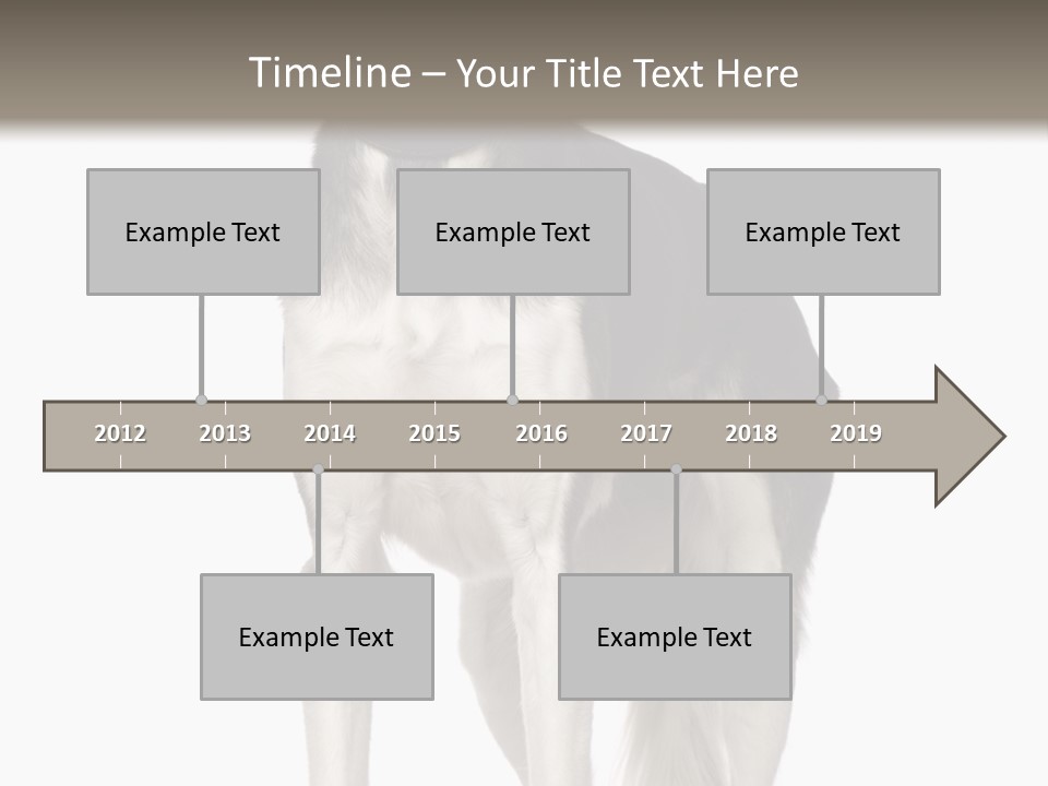 A Black And White Dog Standing In Front Of A White Background PowerPoint Template