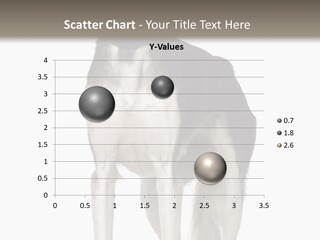A Black And White Dog Standing In Front Of A White Background PowerPoint Template