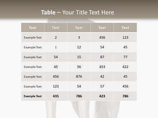 A Black And White Dog Standing In Front Of A White Background PowerPoint Template