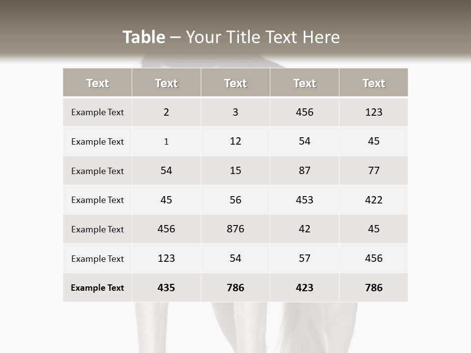 A Black And White Dog Standing In Front Of A White Background PowerPoint Template