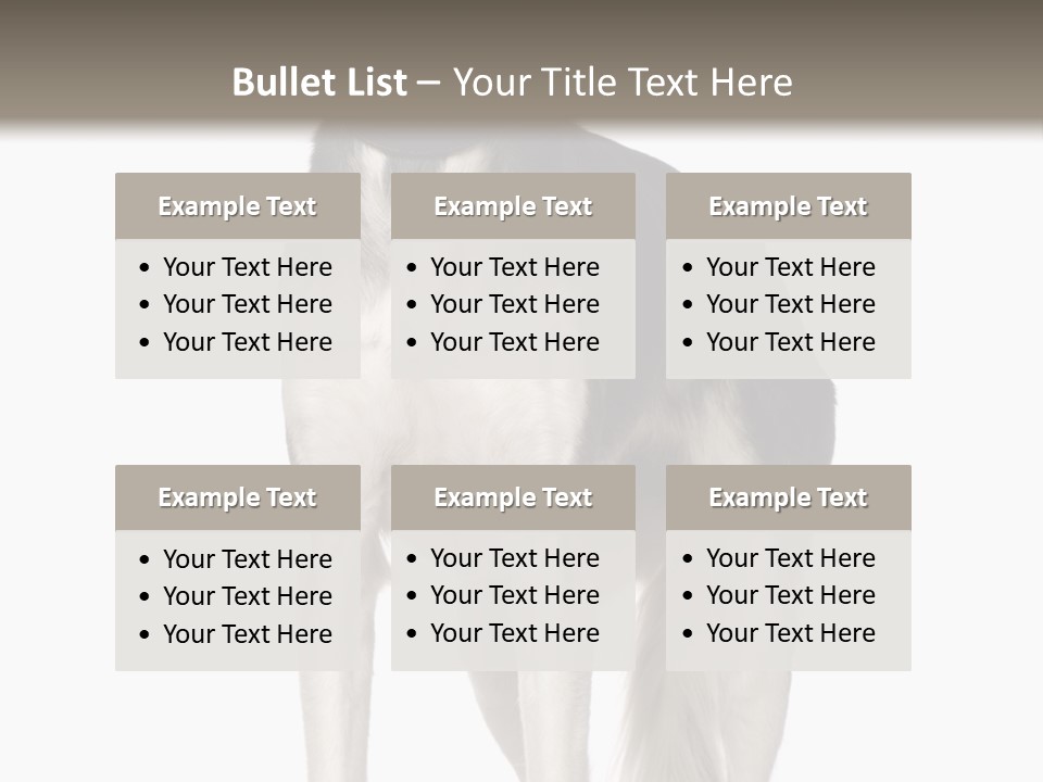 A Black And White Dog Standing In Front Of A White Background PowerPoint Template