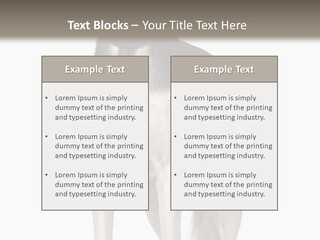 A Black And White Dog Standing In Front Of A White Background PowerPoint Template